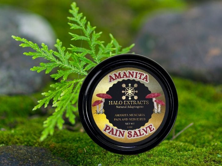 HALO - AMANITA PAIN SALVE