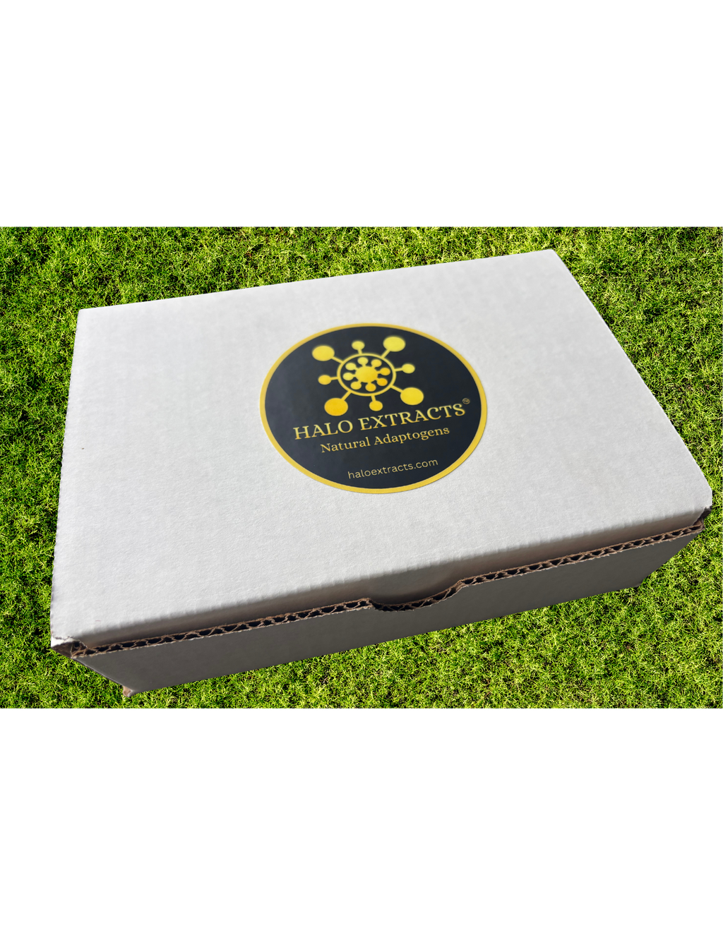 HALO EXTRACTS COMPLETE GIFT SET