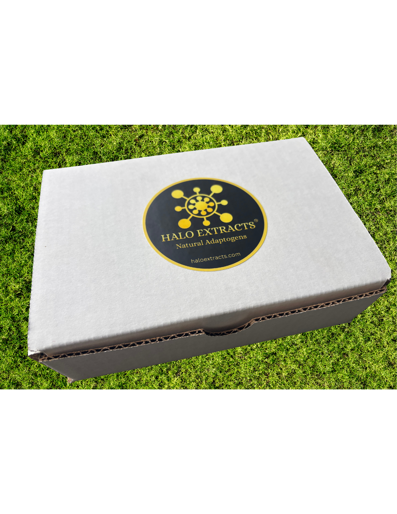 HALO EXTRACTS COMPLETE GIFT SET